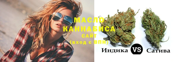 PSILOCYBIN Бородино
