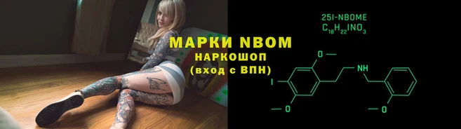 PSILOCYBIN Бородино