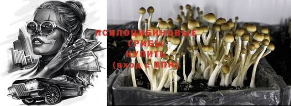 PSILOCYBIN Бородино