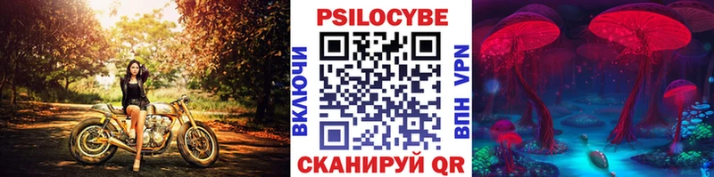 Галлюциногенные грибы Psilocybine cubensis  Купить где  Асбест 